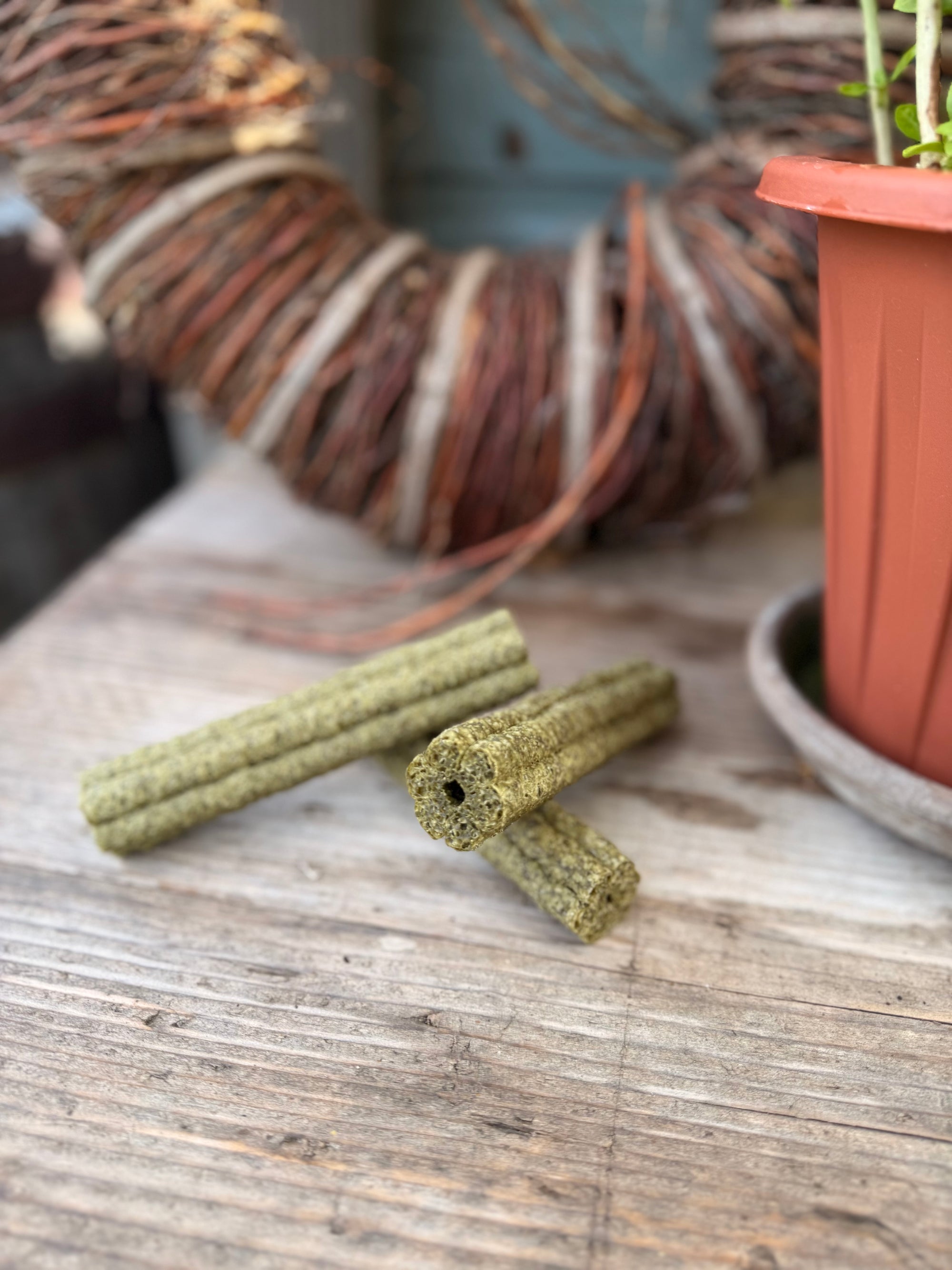 Peppermint, Parsley & Coconut Chew - Bodhi & The Birchtree