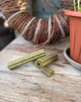 Peppermint, Parsley & Coconut Chew - Bodhi & The Birchtree