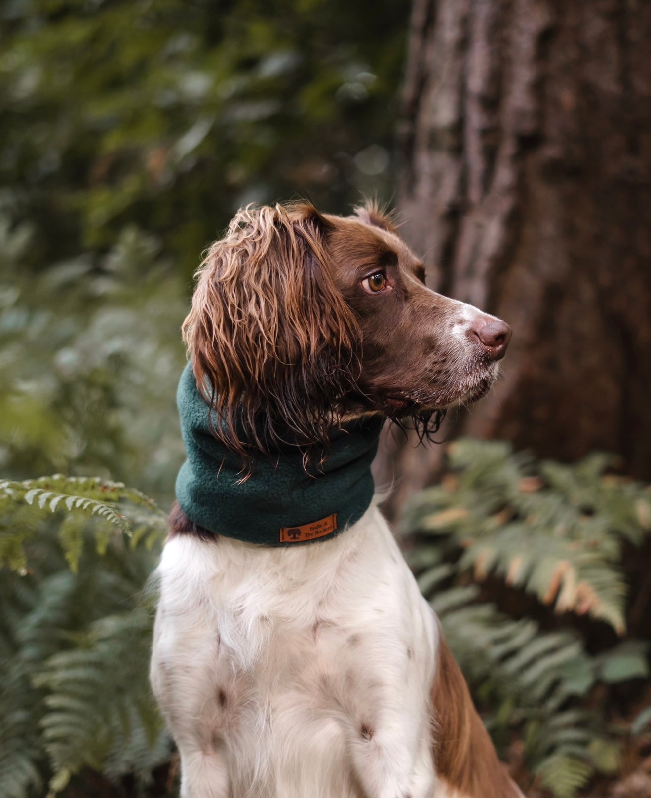 Bodhi & The Birchtree ‘The Greens’ - Polar Fleece Snoods - Bodhi & The Birchtree