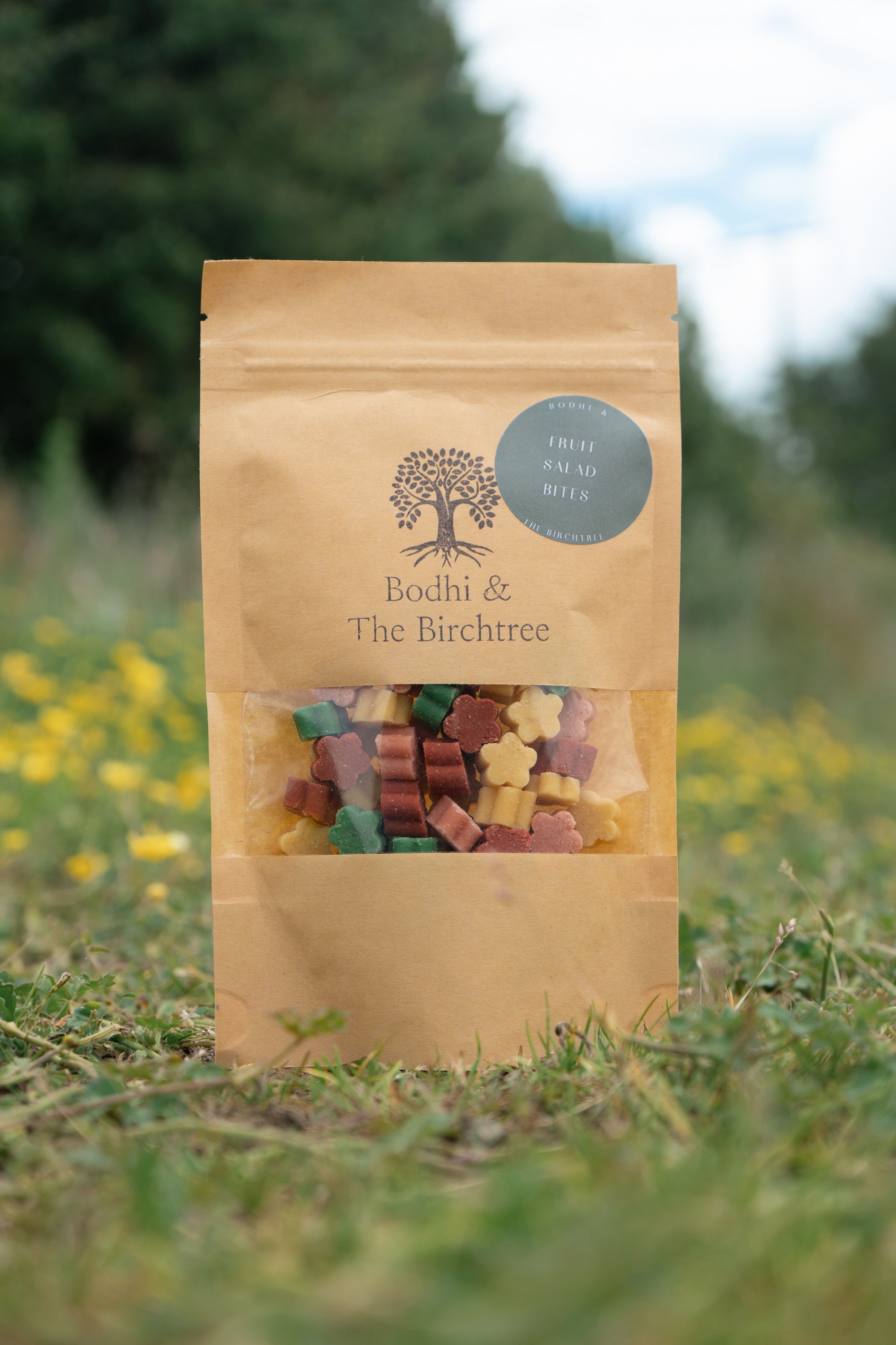 Bodhi & The Birchtree Fruit Salad Bites 80g - Bodhi & The Birchtree