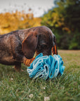 Bodhi & The Birchtree Standard Blue Snuffle Ball - Bodhi & The Birchtree