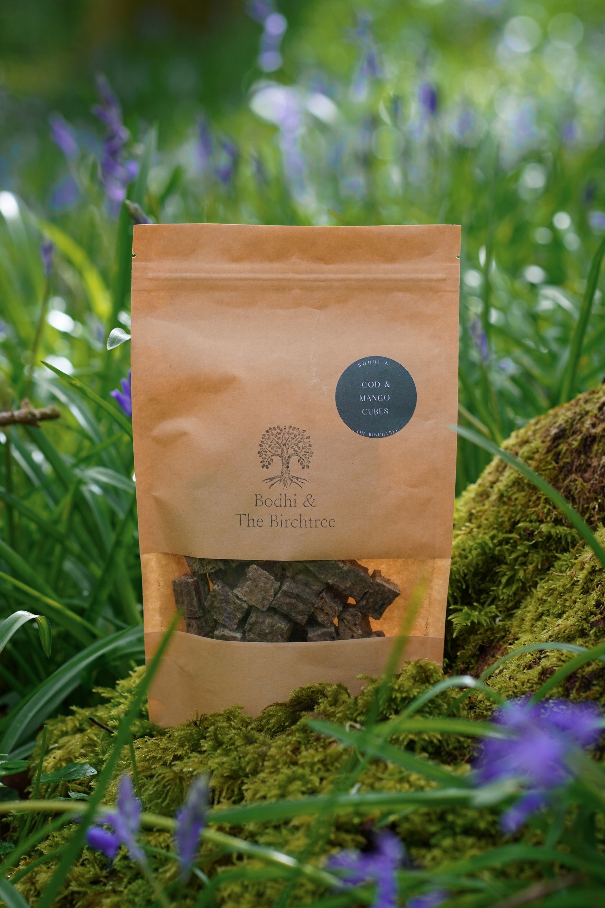 Bodhi & The Birchtree Cod & Mango Cubes 100g - Bodhi & The Birchtree