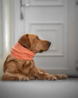 Peach Stripe Summer Cooling Snood - Bodhi & The Birchtree