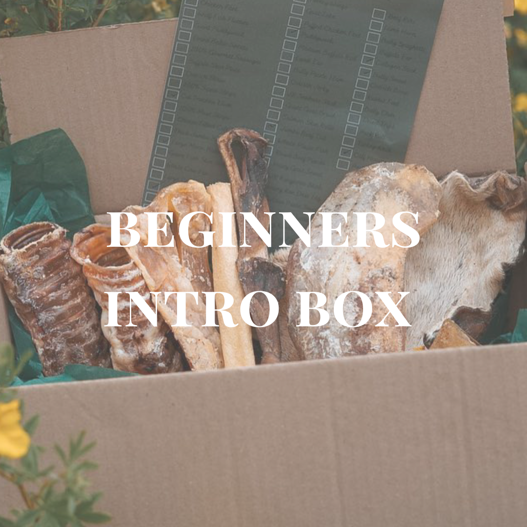 Introduction to Natural Chews Box - Bodhi & The Birchtree