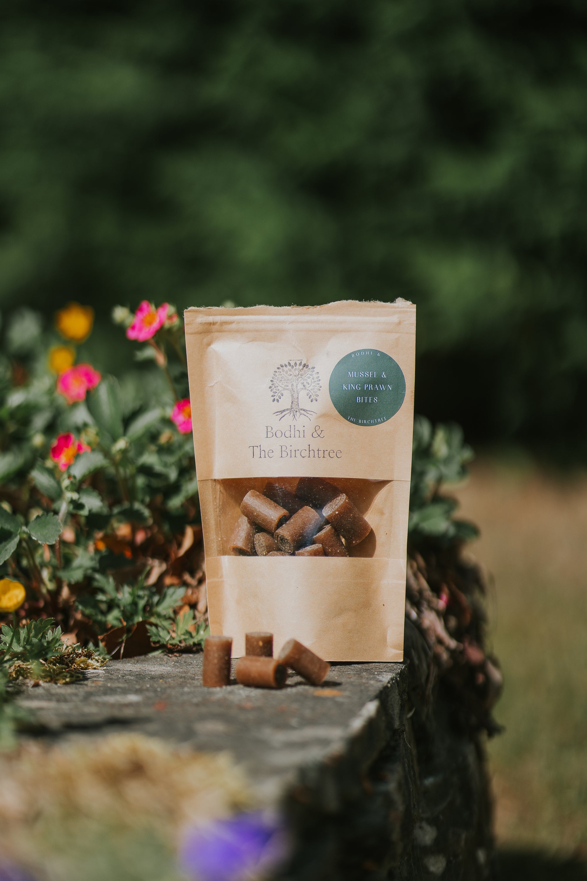 Green Lipped Mussels & King Prawn Bites 100g - Bodhi & The Birchtree