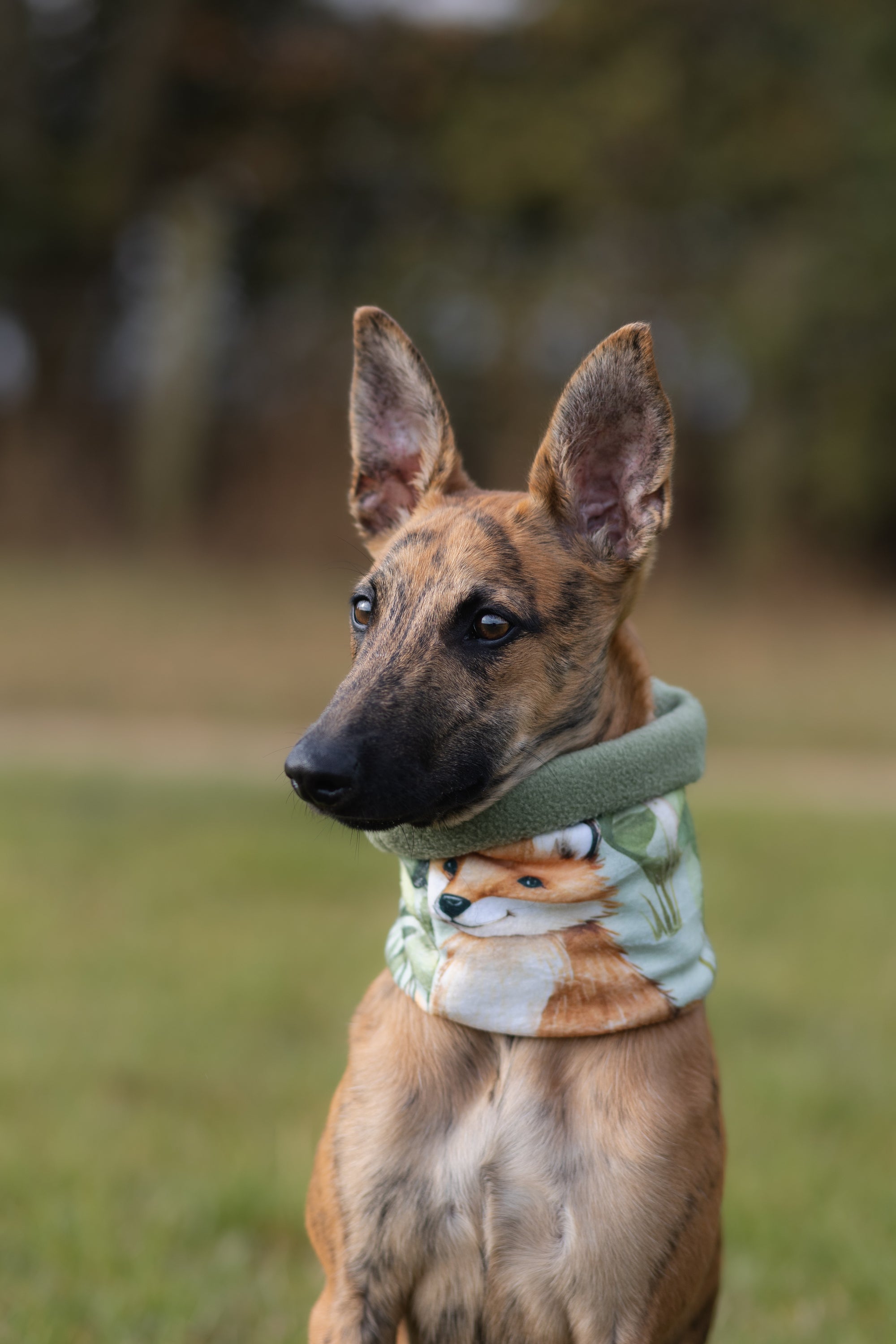 Foxes & Mushrooms & Avocado Polar Fleece Snood - Bodhi & The Birchtree