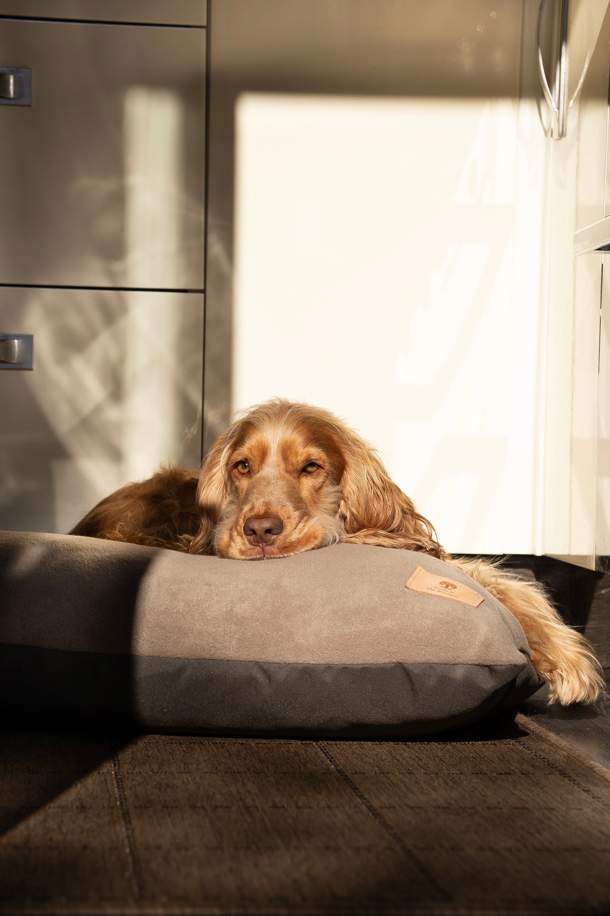 Bodhi & The Birchtree Polar Fleece & Waterproof Dog Bed - Bodhi & The Birchtree