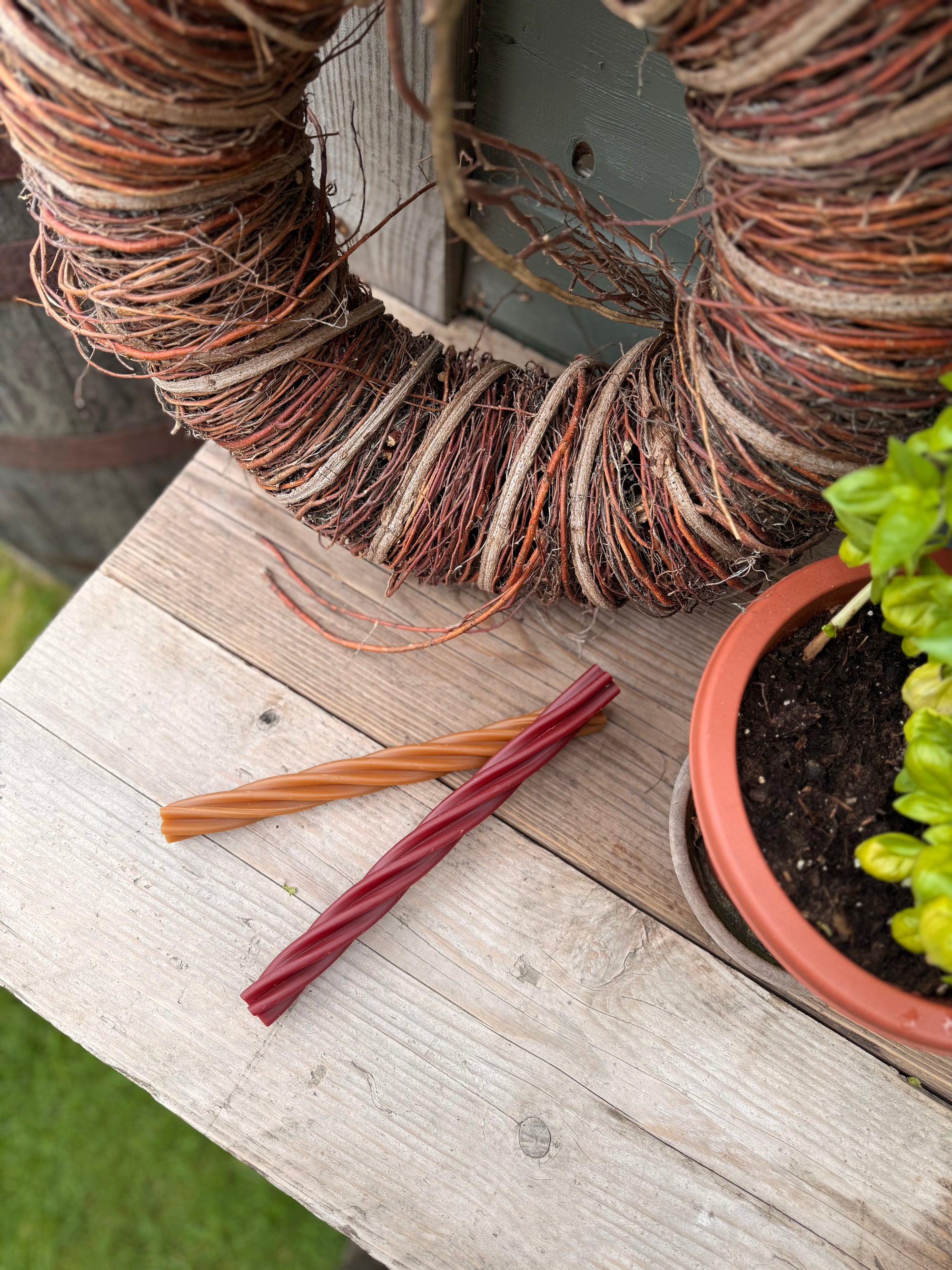 Veggie Giant Twist Sticks (Peanut Butter, Smokey BBQ & Pumpkin, Carrot & Paprika) - Bodhi & The Birchtree