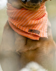 Peach Stripe Summer Cooling Bandana - Bodhi & The Birchtree