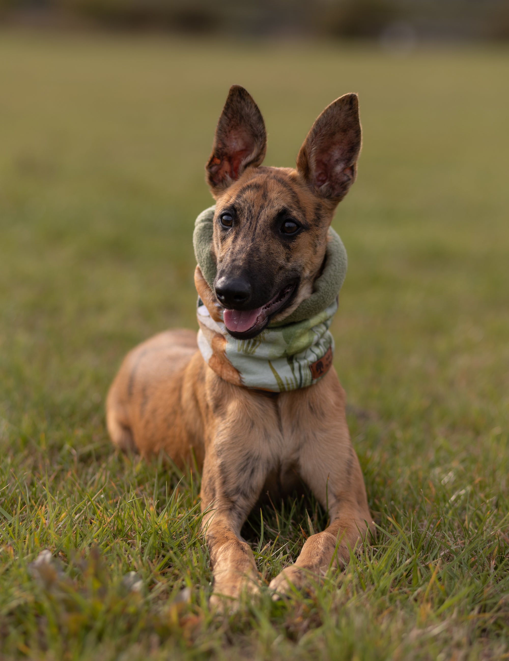 Foxes & Mushrooms & Avocado Polar Fleece Snood - Bodhi & The Birchtree