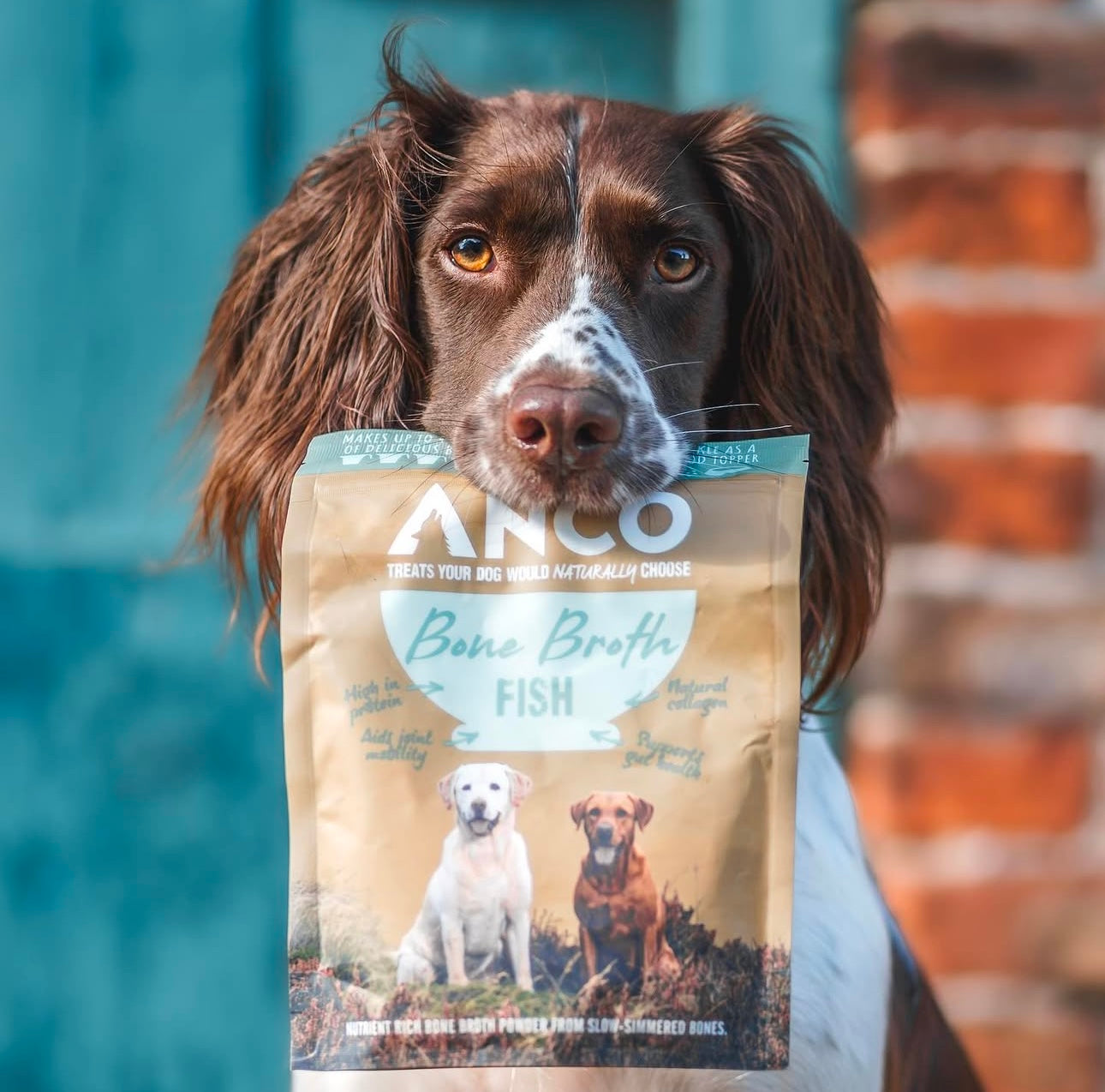 Anco Fish Bone Broth 120g - Bodhi & The Birchtree