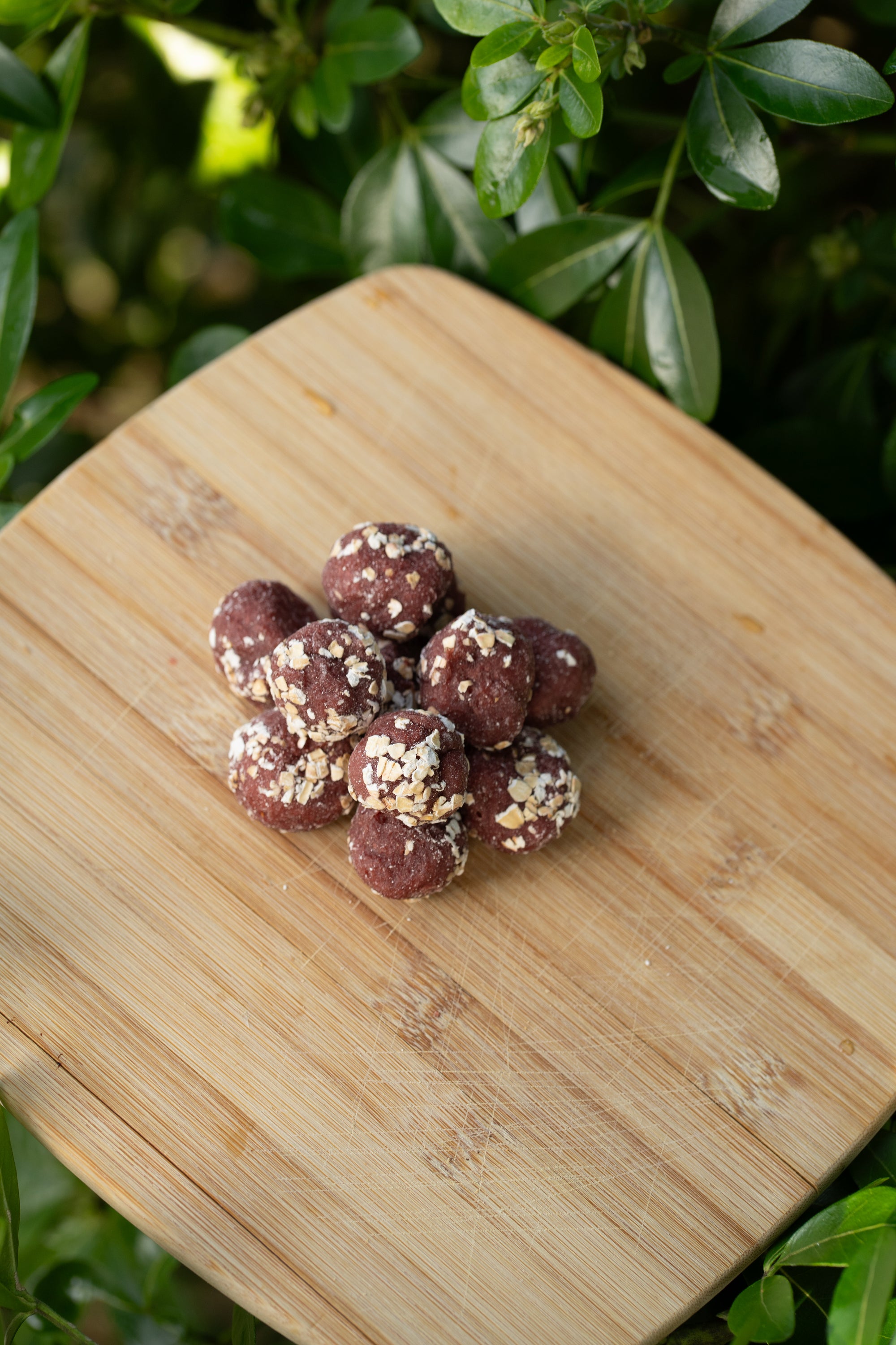 Chicken & Sweet Potato Balls - Bodhi & The Birchtree