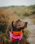 Bodhi & The Birchtree ‘The Nellie’ Pink & Orange Polar Fleece Snood - Bodhi & The Birchtree
