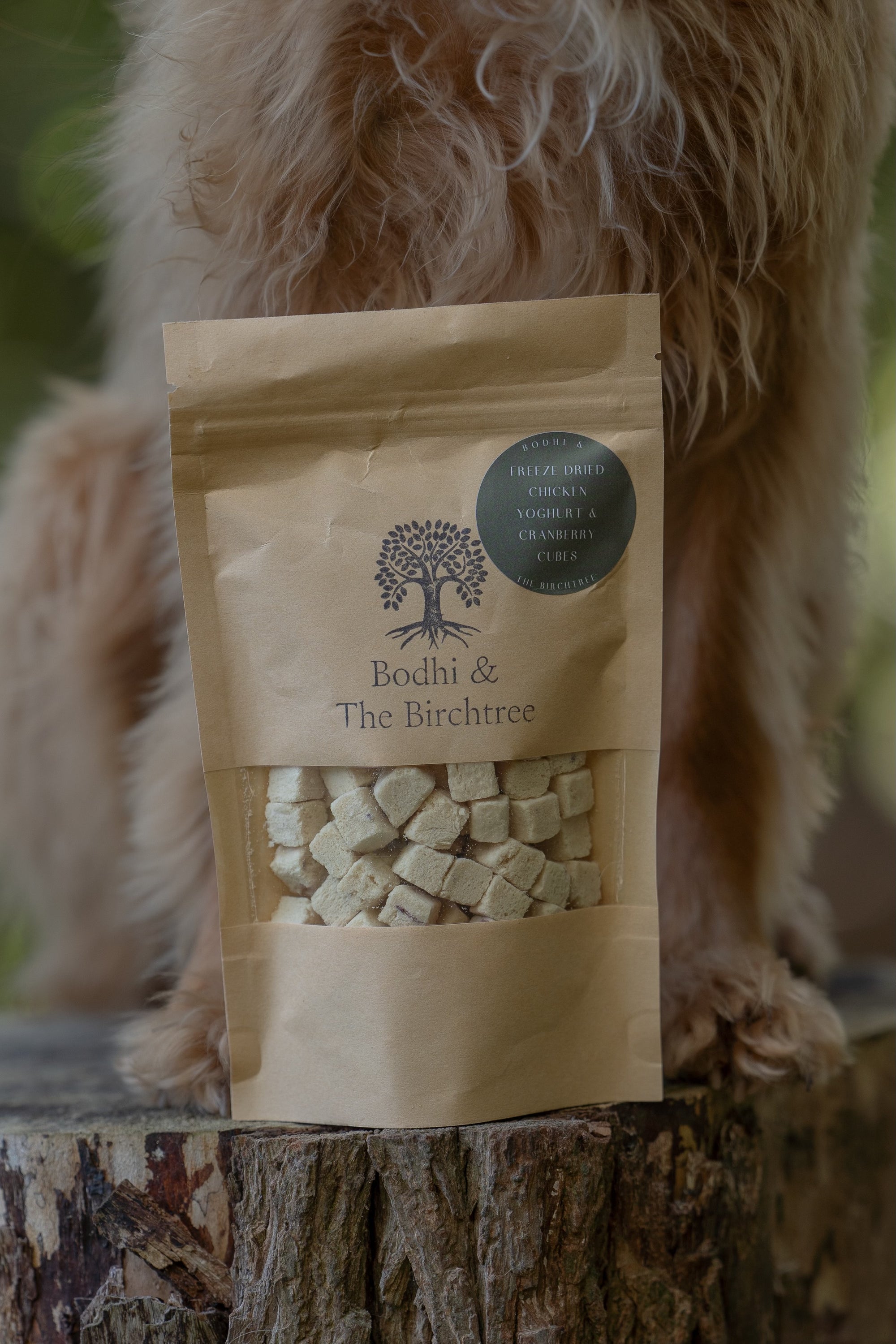 Bodhi & The Birchtree Freeze Dried Chicken, Yoghurt & Cranberry Cubes 30G - Bodhi & The Birchtree