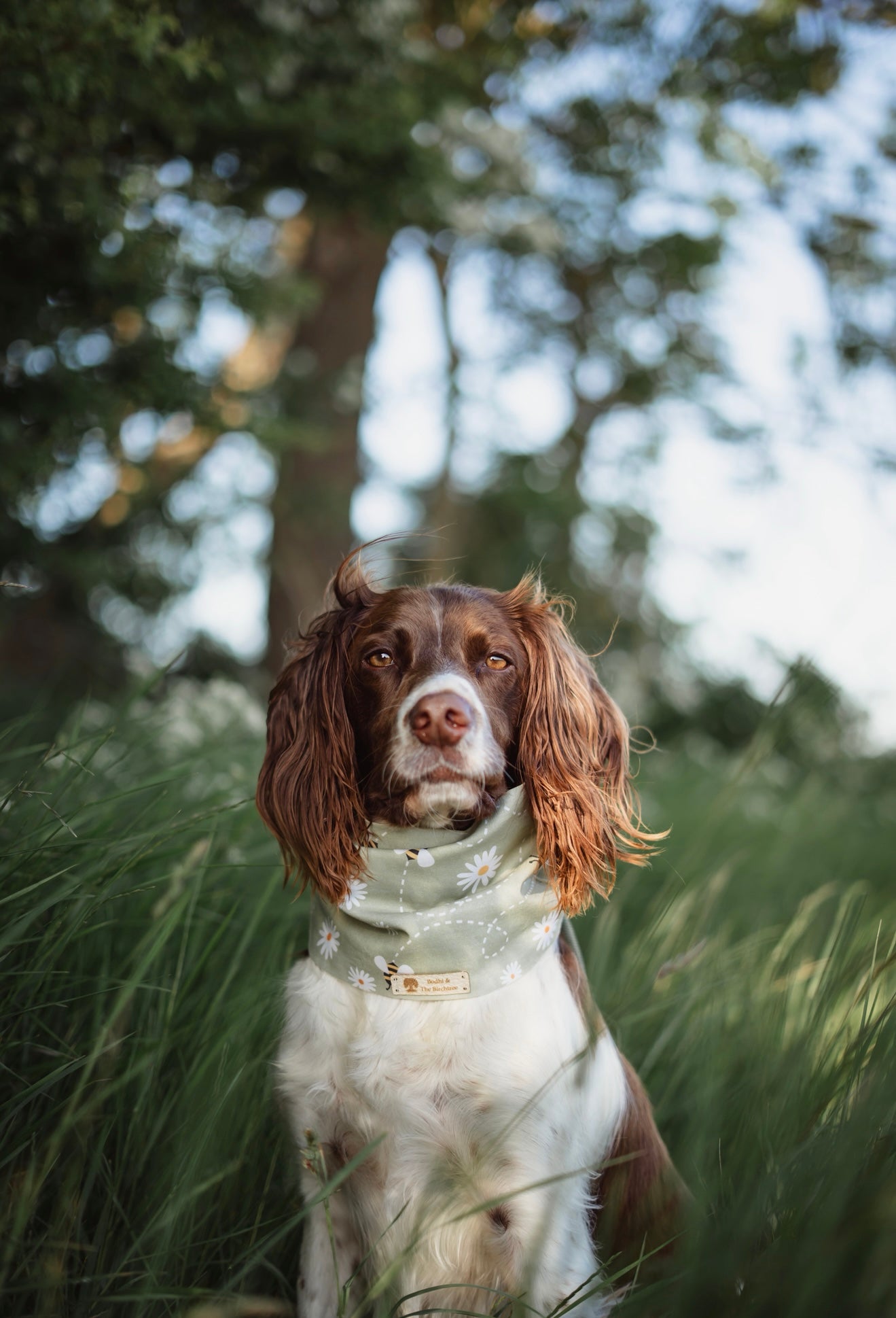 Bodhi & The Birchtree Bees & Daisies Summer Cooling Snood - Bodhi & The Birchtree