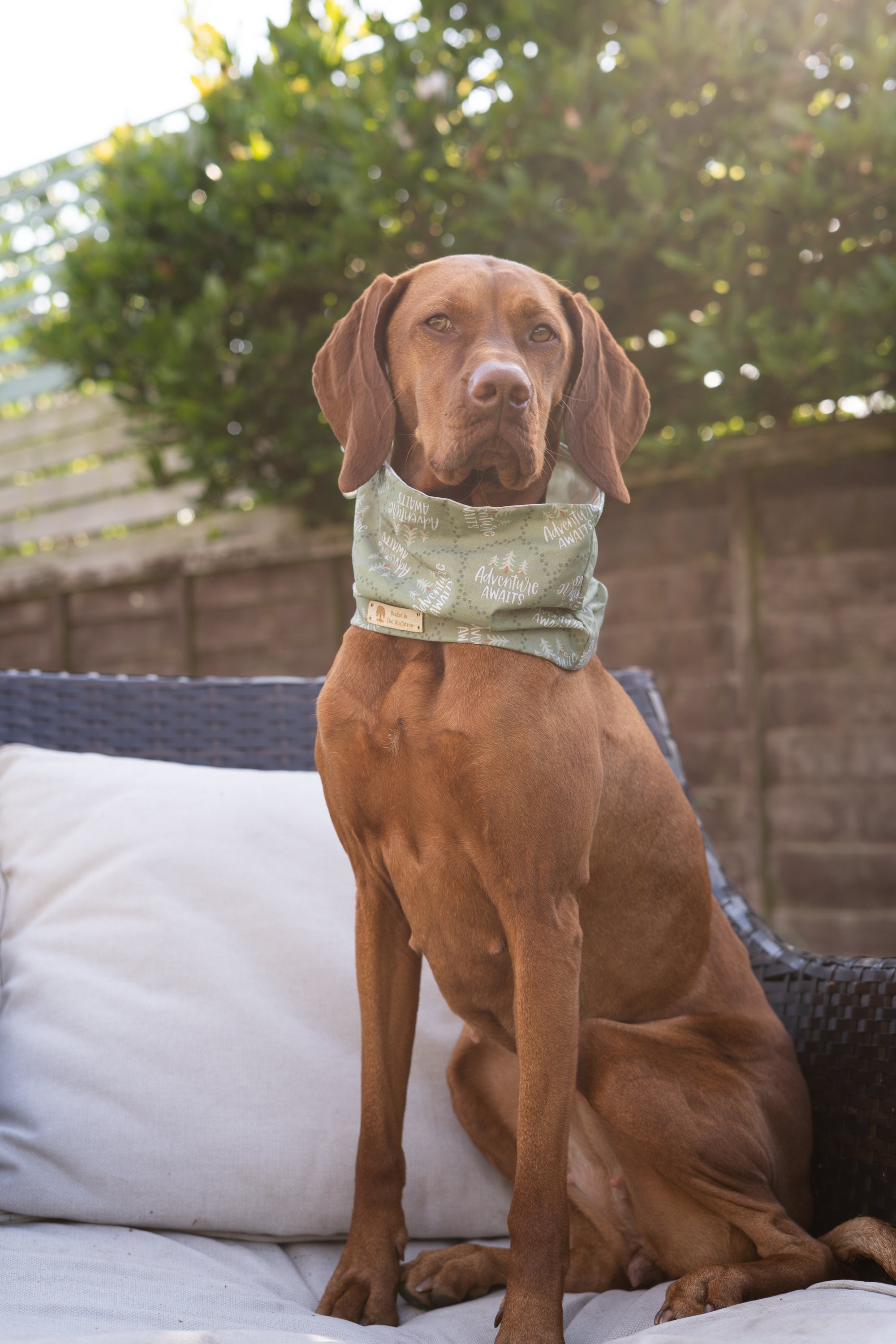 Bodhi & The Birchtree Adventure Awaits Summer Cooling Snood - Bodhi & The Birchtree