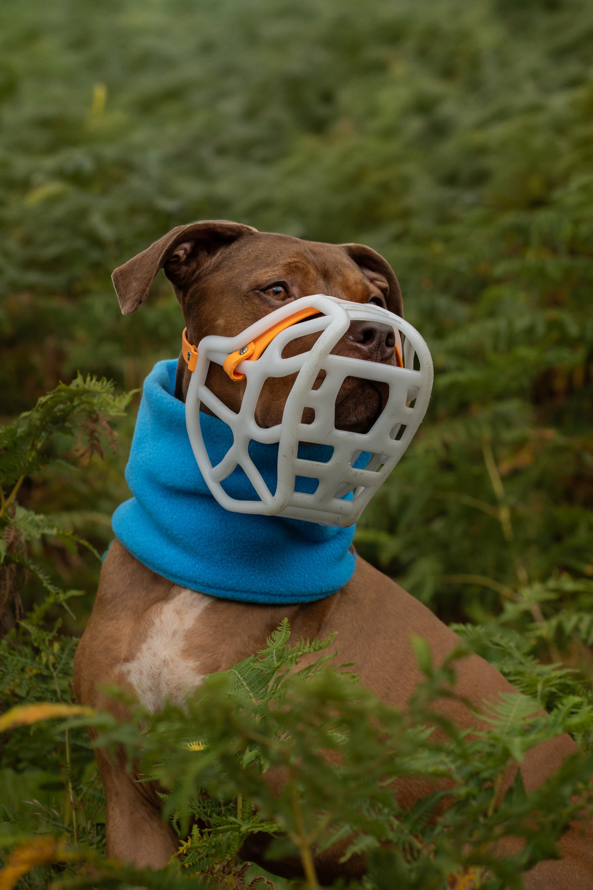 Bodhi & The Birchtree ‘The Cools’ - Polar Fleece Snoods - Bodhi & The Birchtree