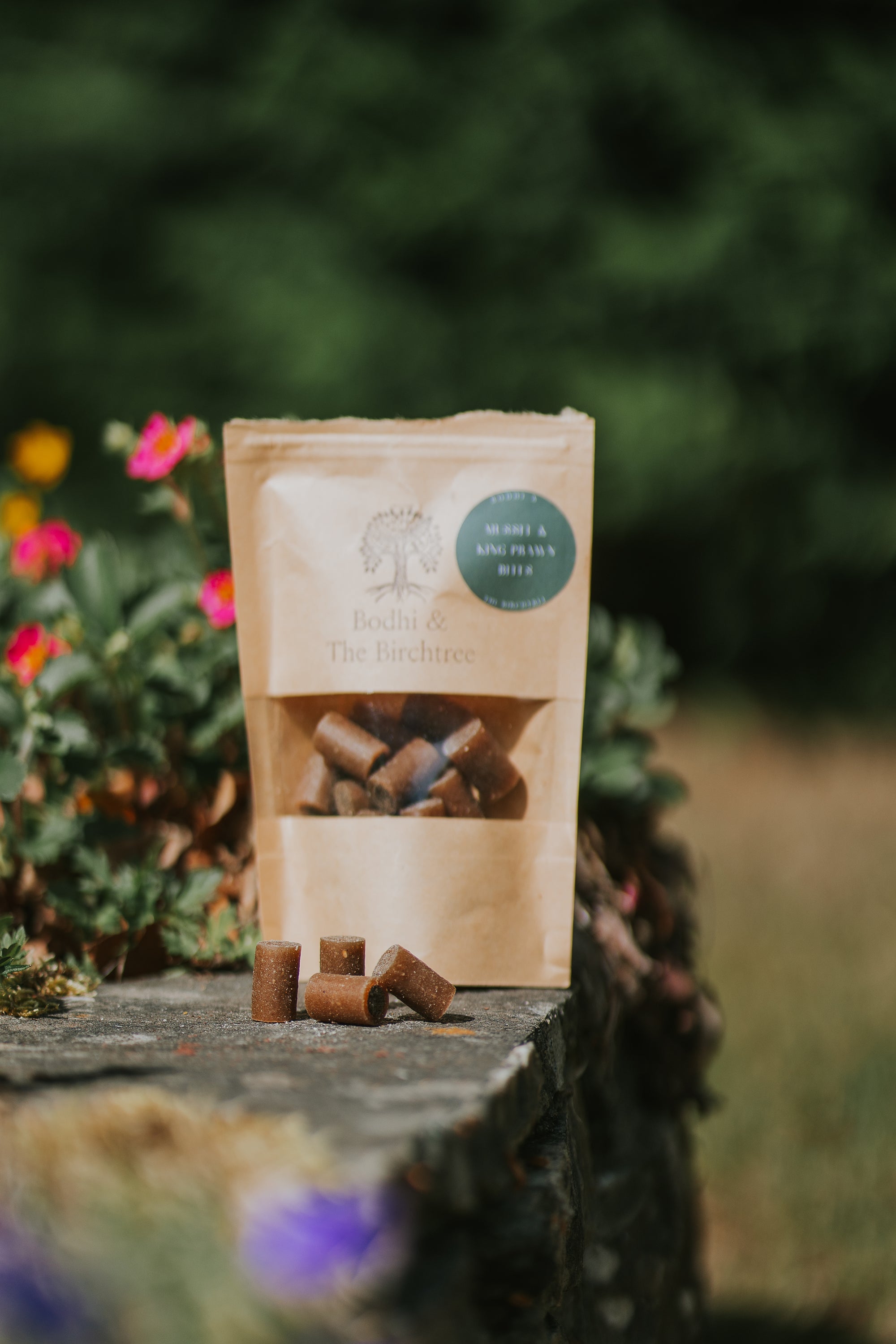 Green Lipped Mussels & King Prawn Bites 100g - Bodhi & The Birchtree