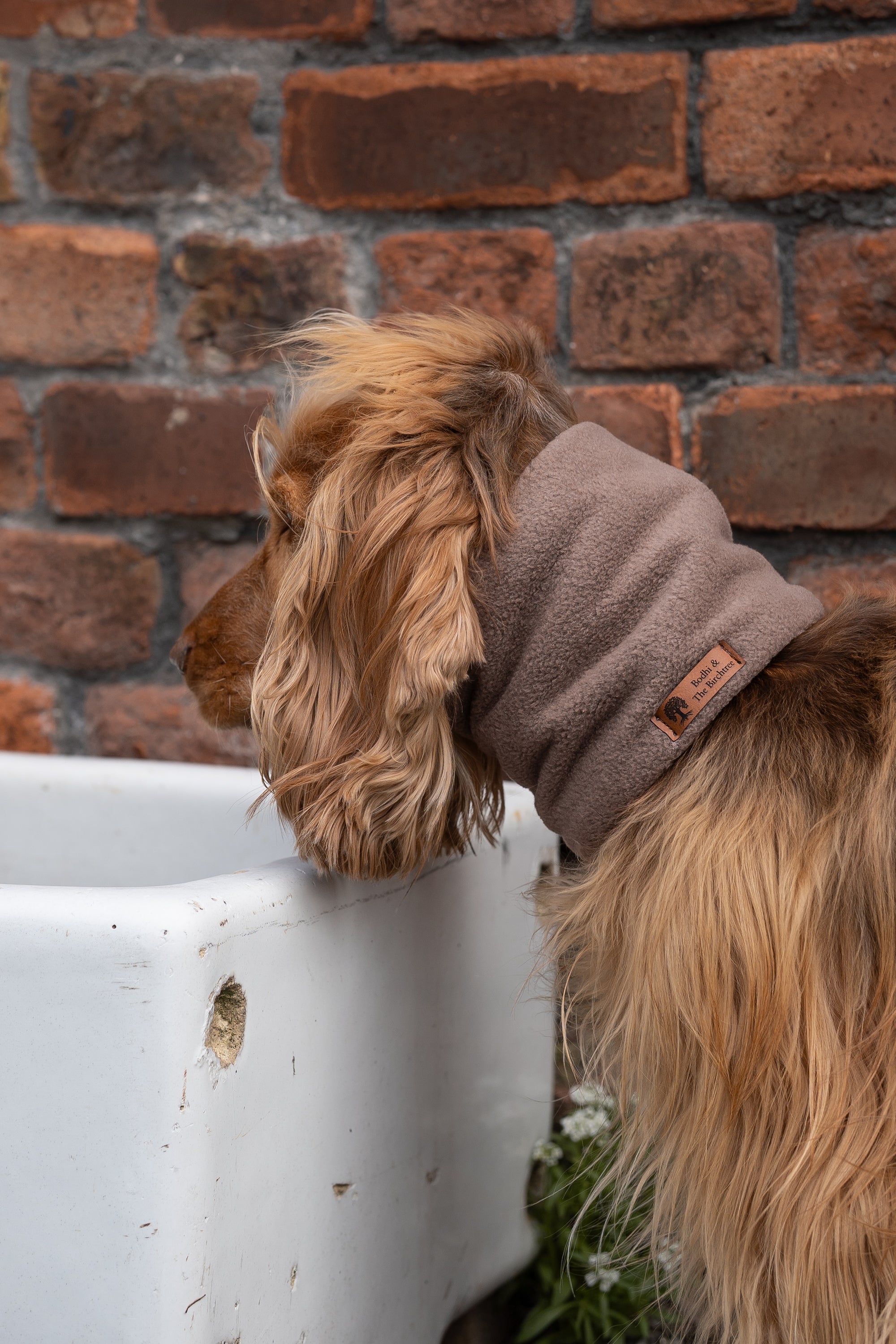 Bodhi & The Birchtree ‘The Neutrals’ - Polar Fleece Snoods - Bodhi & The Birchtree