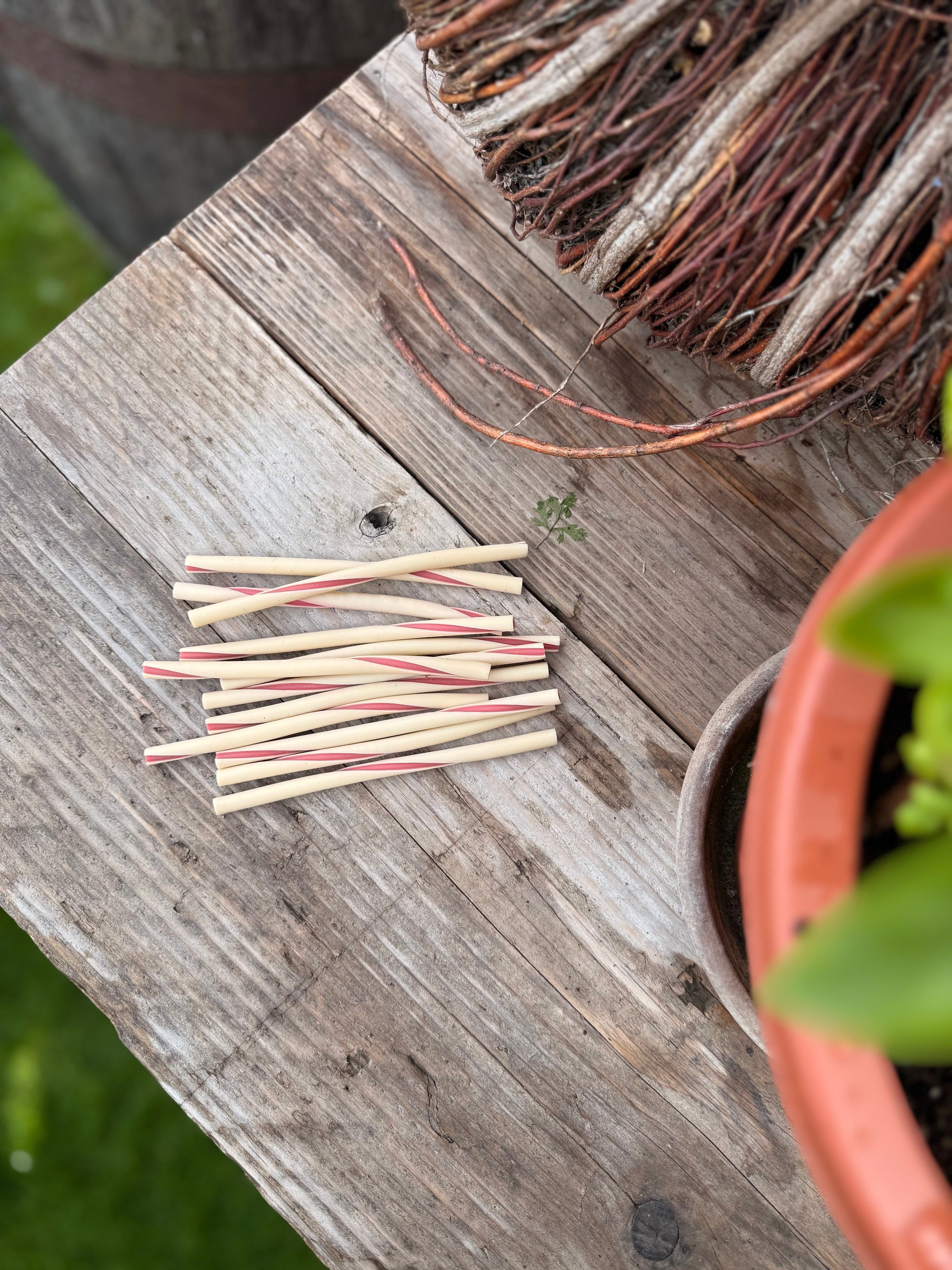 Strawberry & Coconut Thin Veggie Twists - Bodhi & The Birchtree