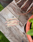 Strawberry & Coconut Thin Veggie Twists - Bodhi & The Birchtree