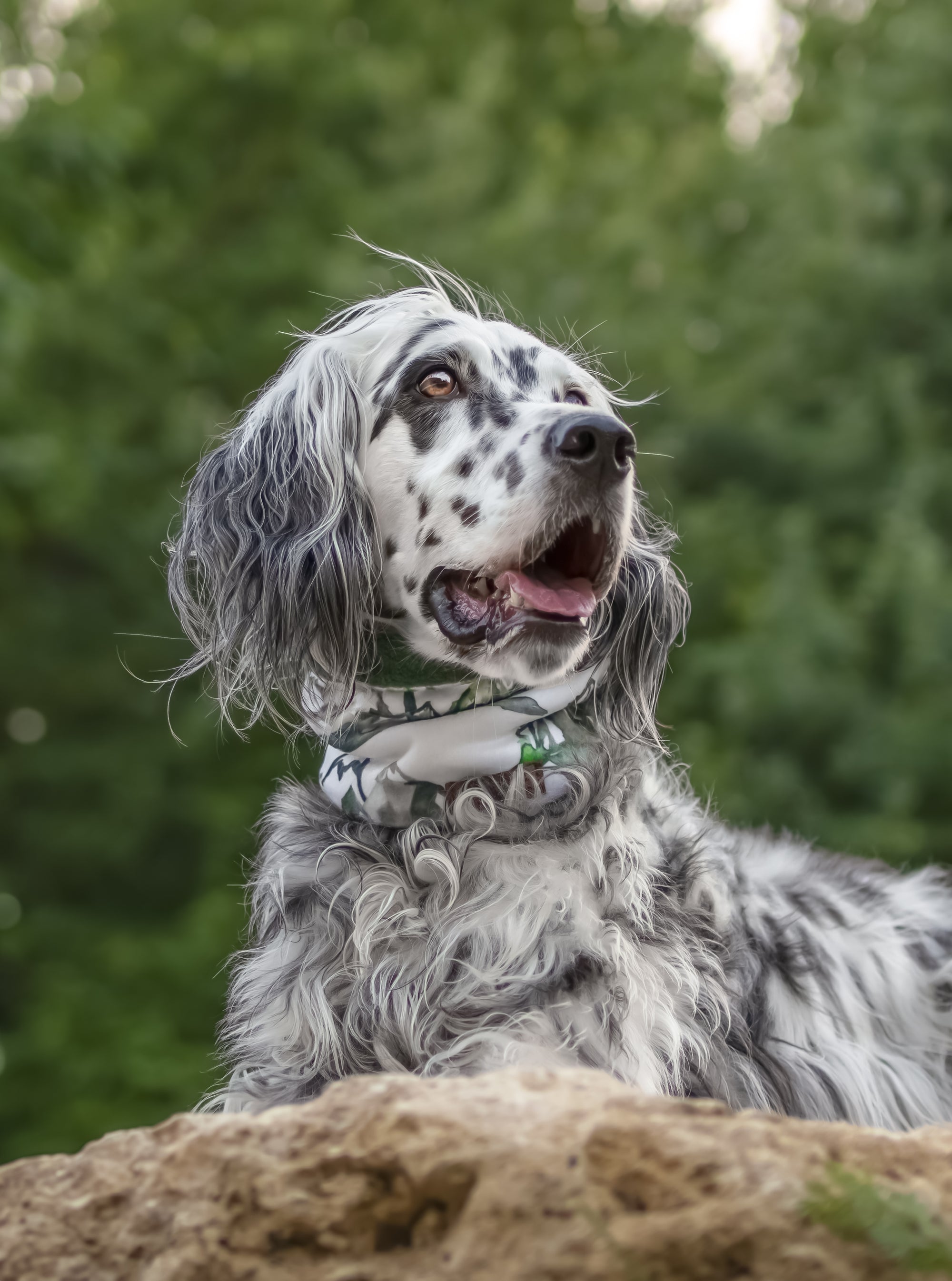 Alpine Ridge Mountains & Dark Bottle Polar Fleece Snood - Bodhi & The Birchtree