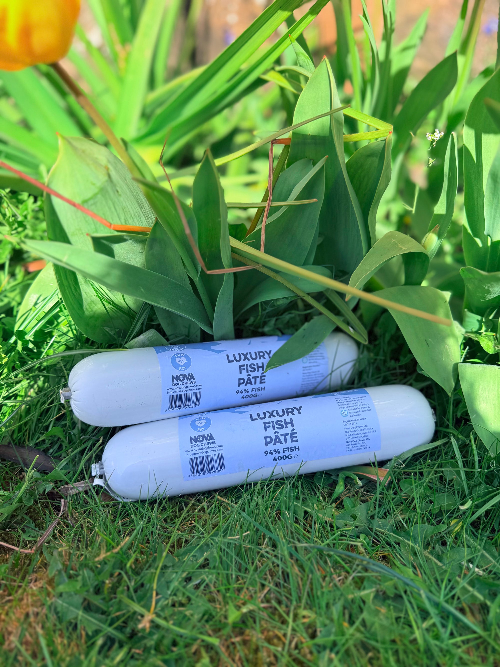 Luxury Fish Pate 400g - Bodhi & The Birchtree