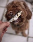 Dried Baltic Sprats - Bodhi & The Birchtree
