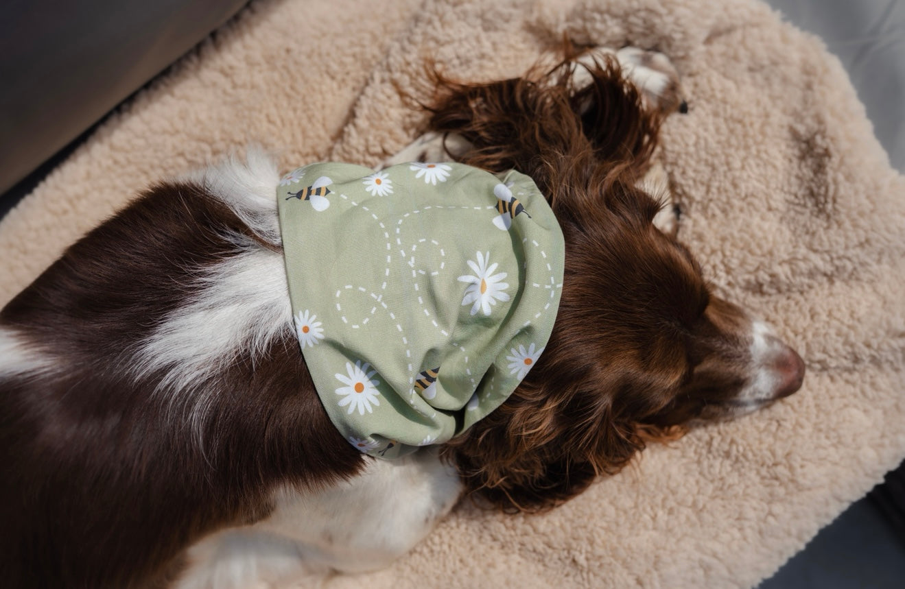 Bodhi & The Birchtree Bees & Daisies Summer Cooling Snood - Bodhi & The Birchtree