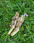 Goose Foot - Bodhi & The Birchtree