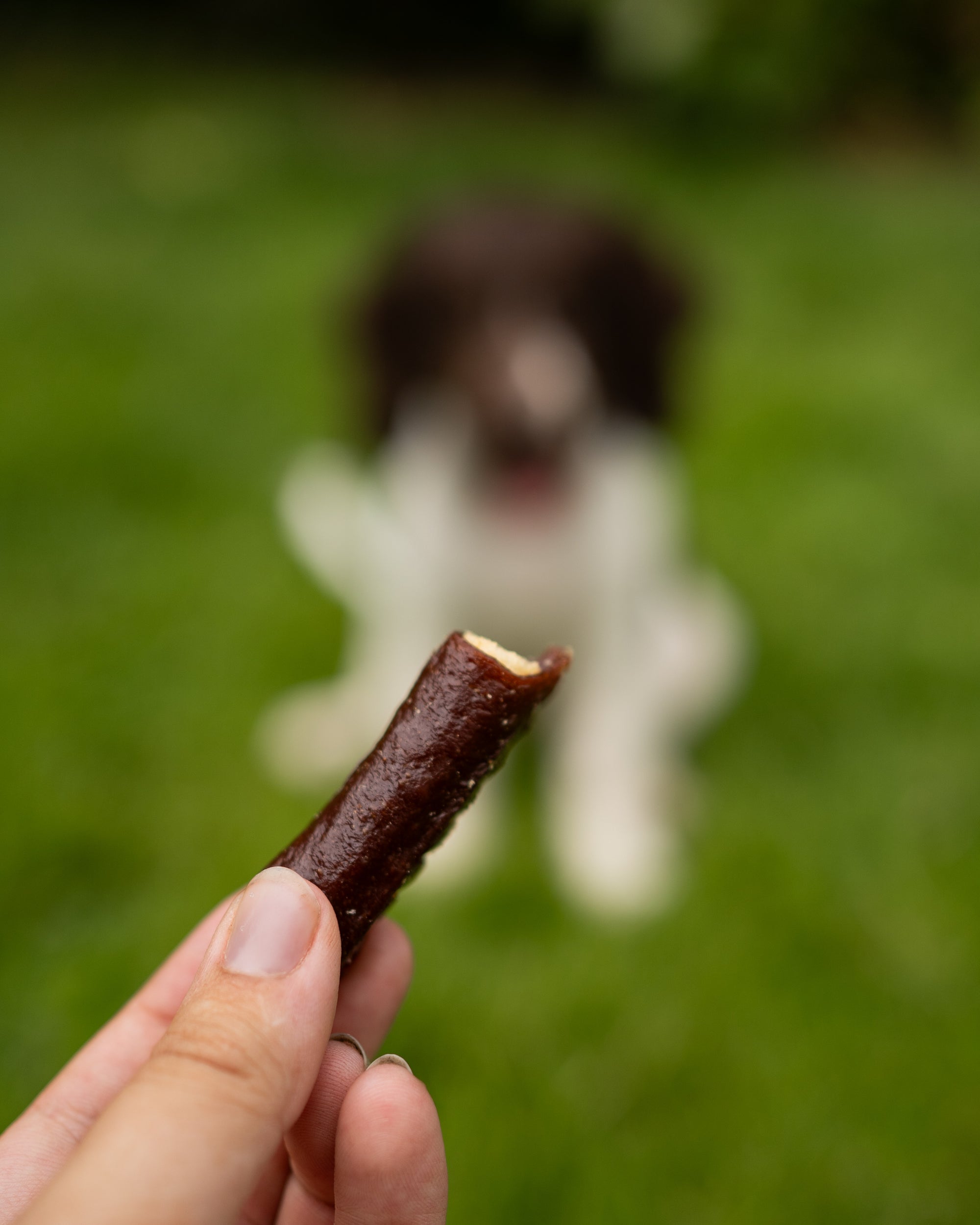 Duck & Lamb Rice Tubes - Bodhi & The Birchtree