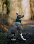 Limited Edition ‘The Nimble’ Sage & Bottle Green Polar Fleece Snood - Bodhi & The Birchtree