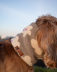 Teddy Fleece Flowers Snood - Taupe - Bodhi & The Birchtree