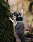 Limited Edition ‘The Nimble’ Sage & Bottle Green Polar Fleece Snood - Bodhi & The Birchtree