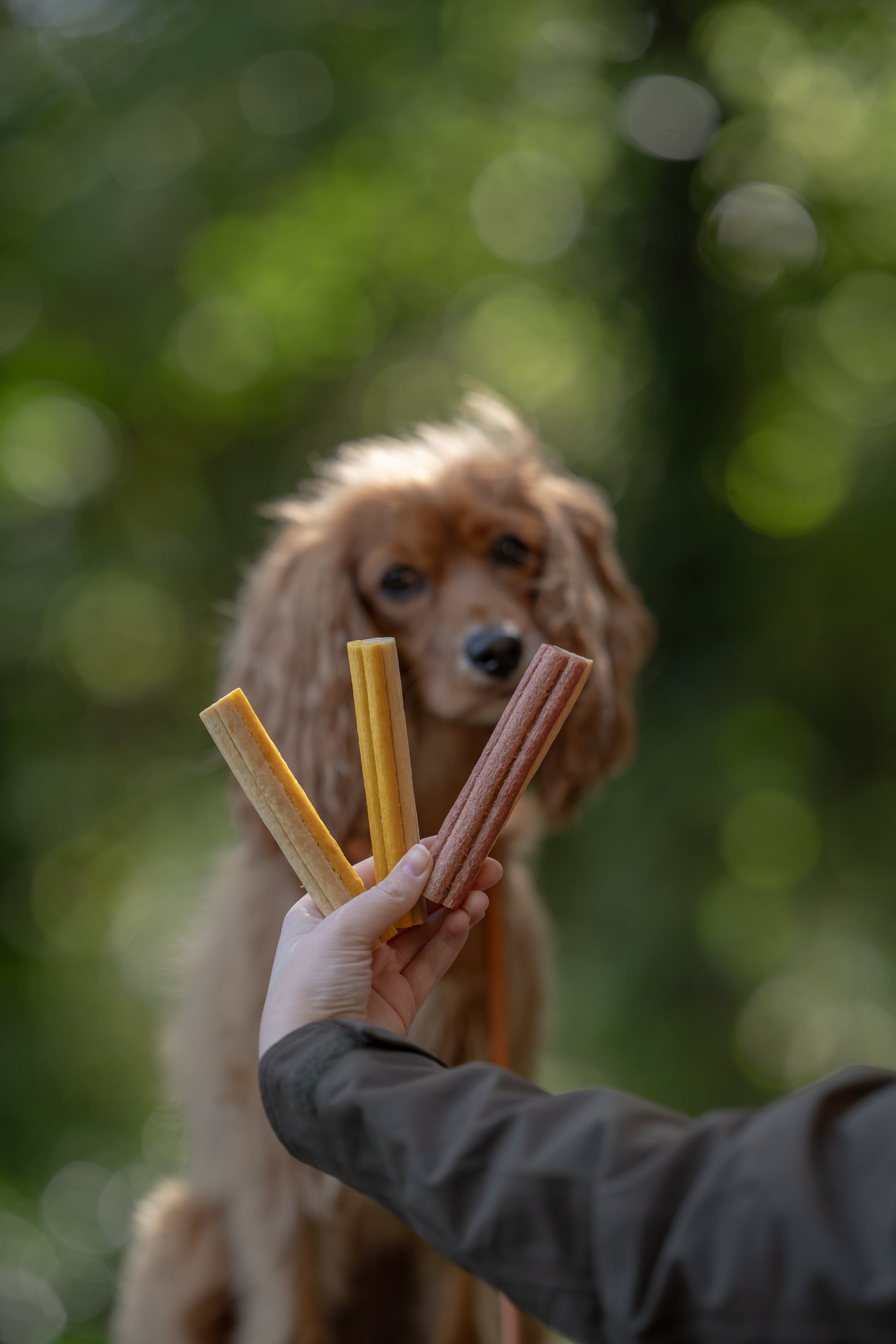 Blueberry, Beetroot & Coconut Oil Chew - Bodhi & The Birchtree