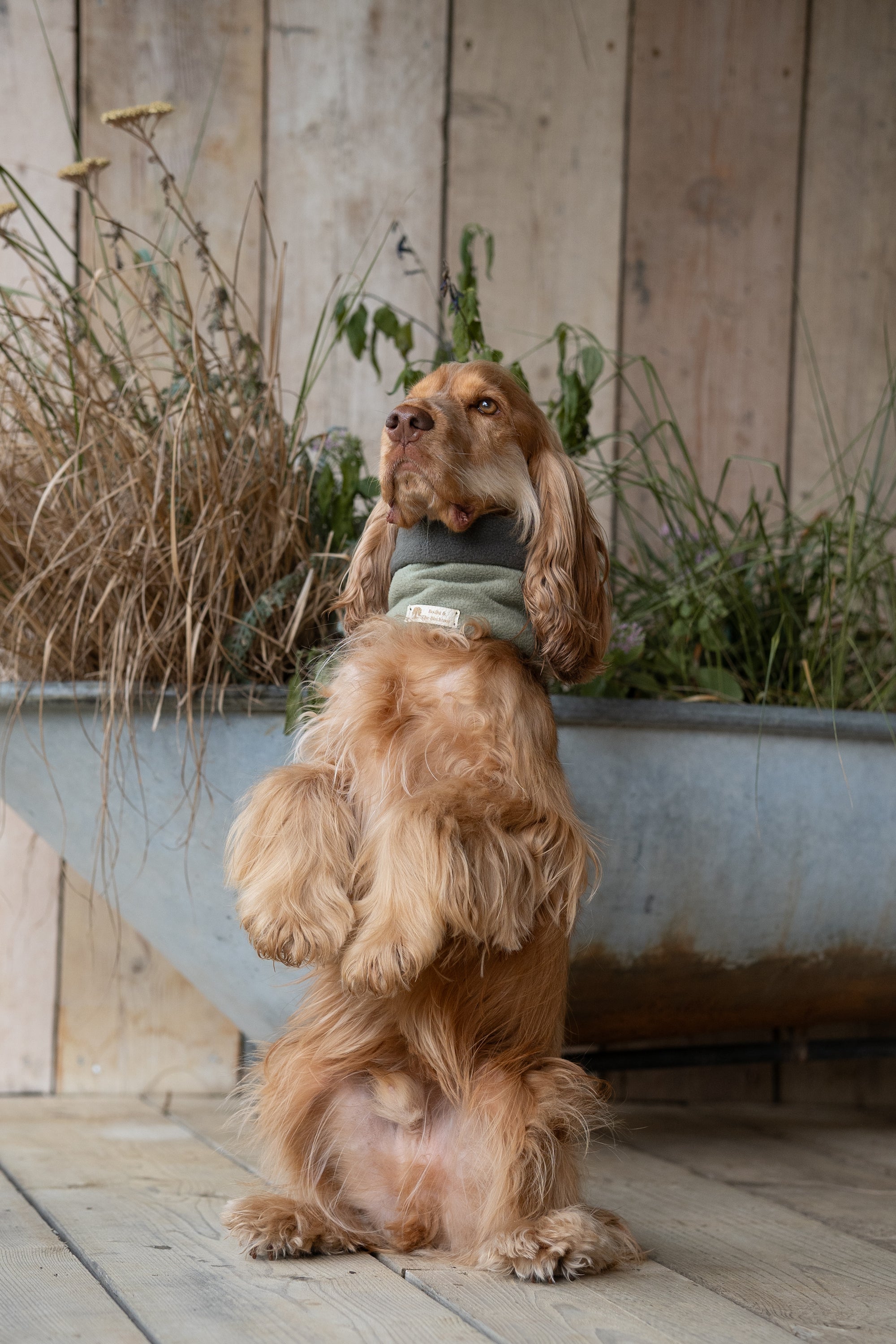 ‘The Harley’ Avocado & New Olive Polar Fleece Snood - Bodhi & The Birchtree