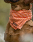Peach Stripe Summer Cooling Bandana - Bodhi & The Birchtree
