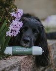 Bodhi & The Birchtree Mackerel & Trout Paté 400g - Bodhi & The Birchtree