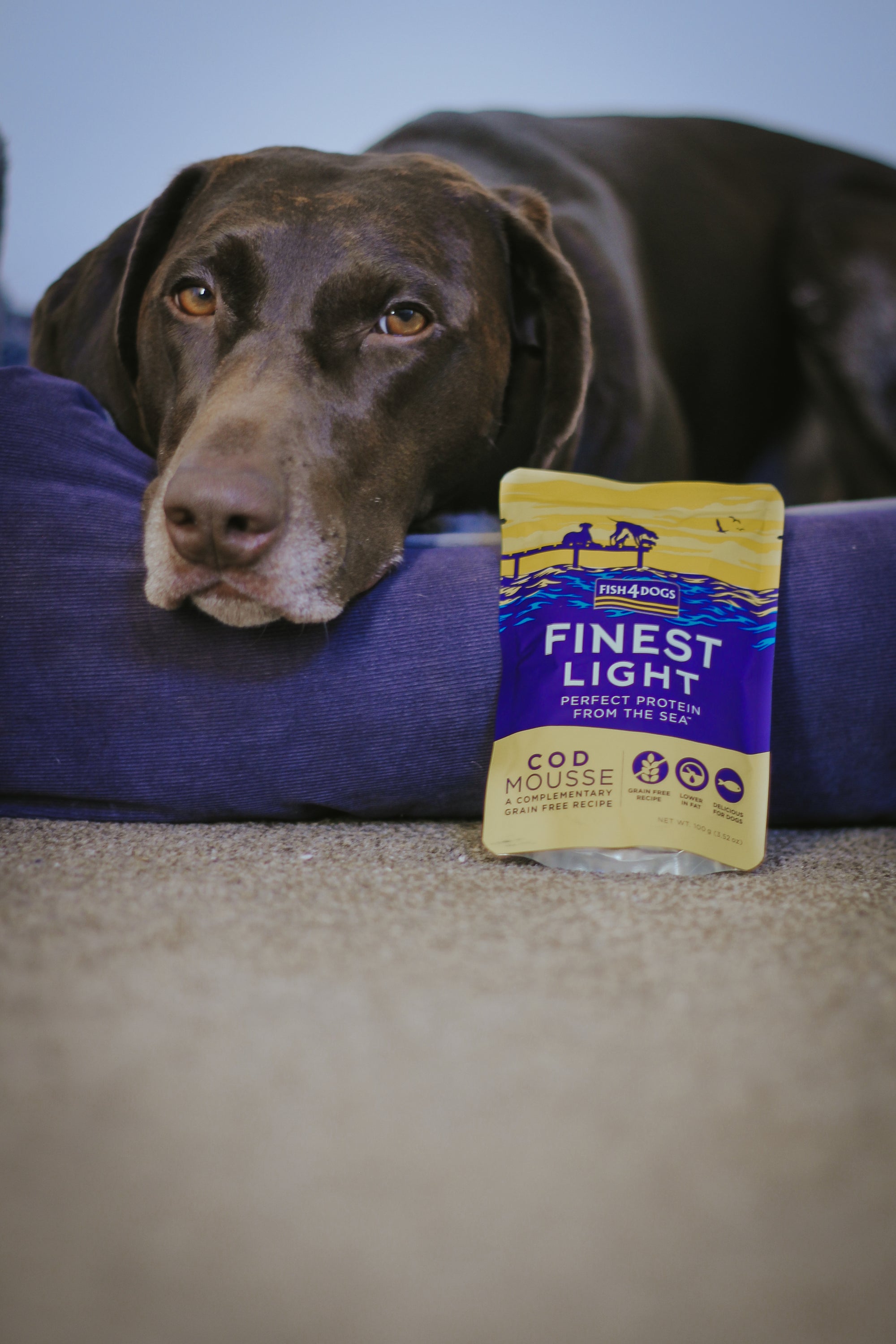 Fish4dogs Finest Cod Mousse 100g - Bodhi & The Birchtree