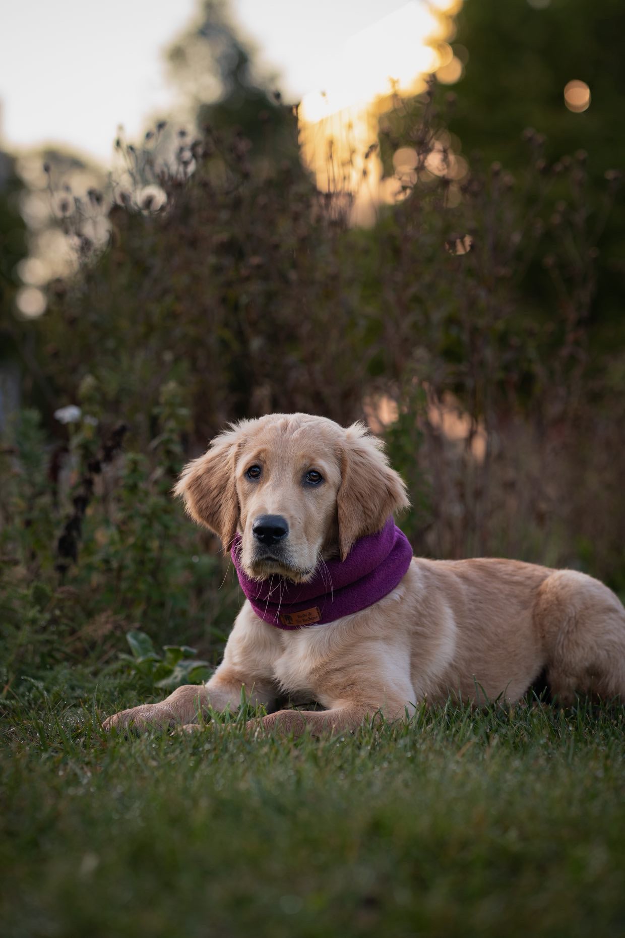 Bodhi & The Birchtree ‘The Warms’ - Polar Fleece Snoods - Bodhi & The Birchtree