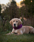 Bodhi & The Birchtree ‘The Warms’ - Polar Fleece Snoods