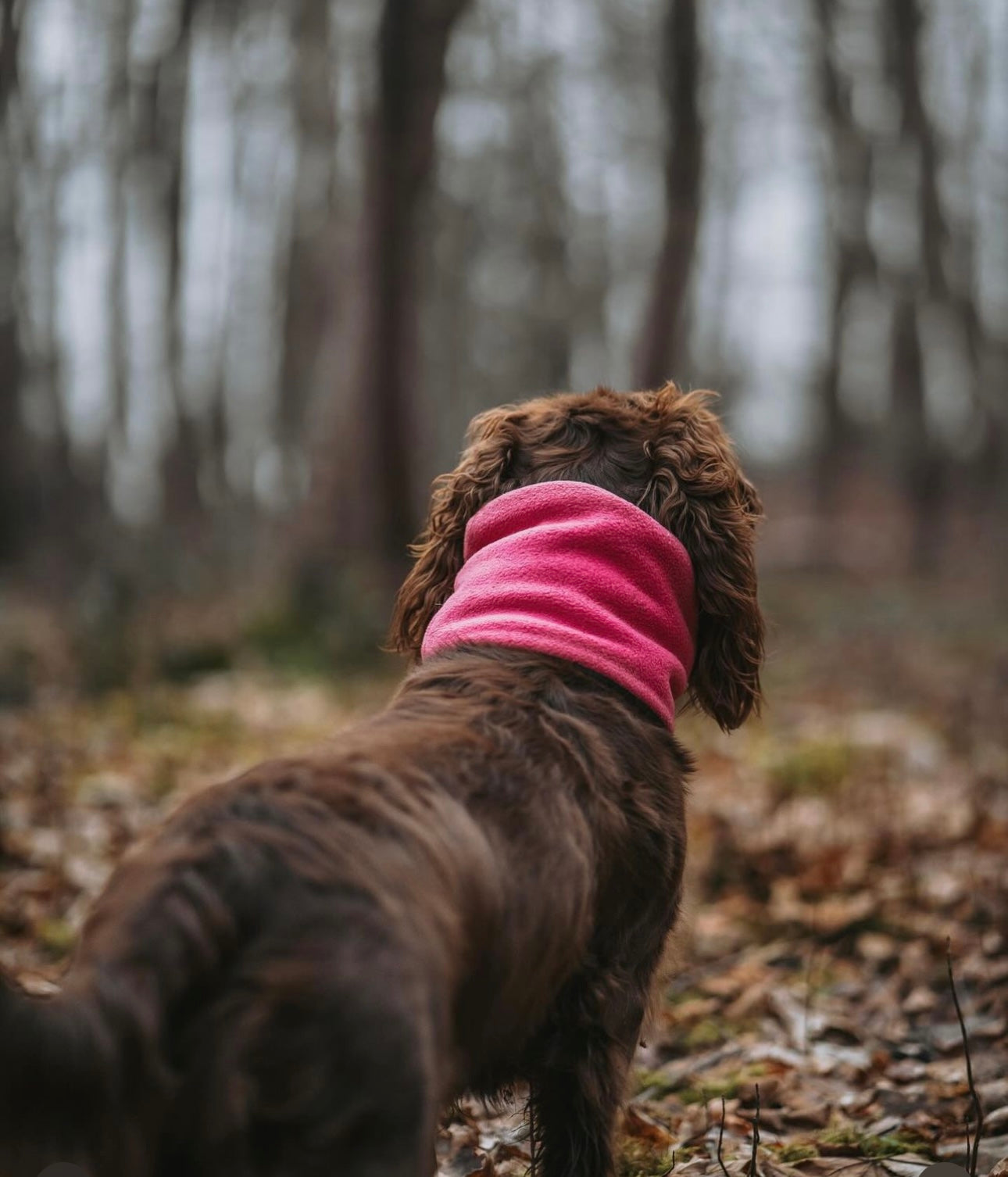 Bodhi The Birchtree Pink Polar Fleece Snood