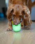 Food Dispenser & Slow Feeder Light & Spruce Green - Bodhi & The Birchtree