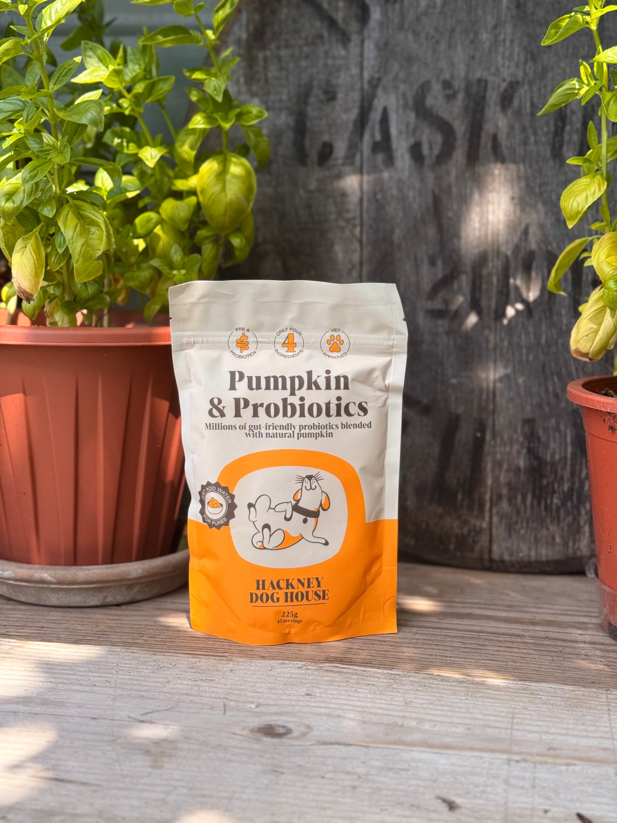 Hackney House Pumpkin & Probiotics Powder - Bodhi & The Birchtree