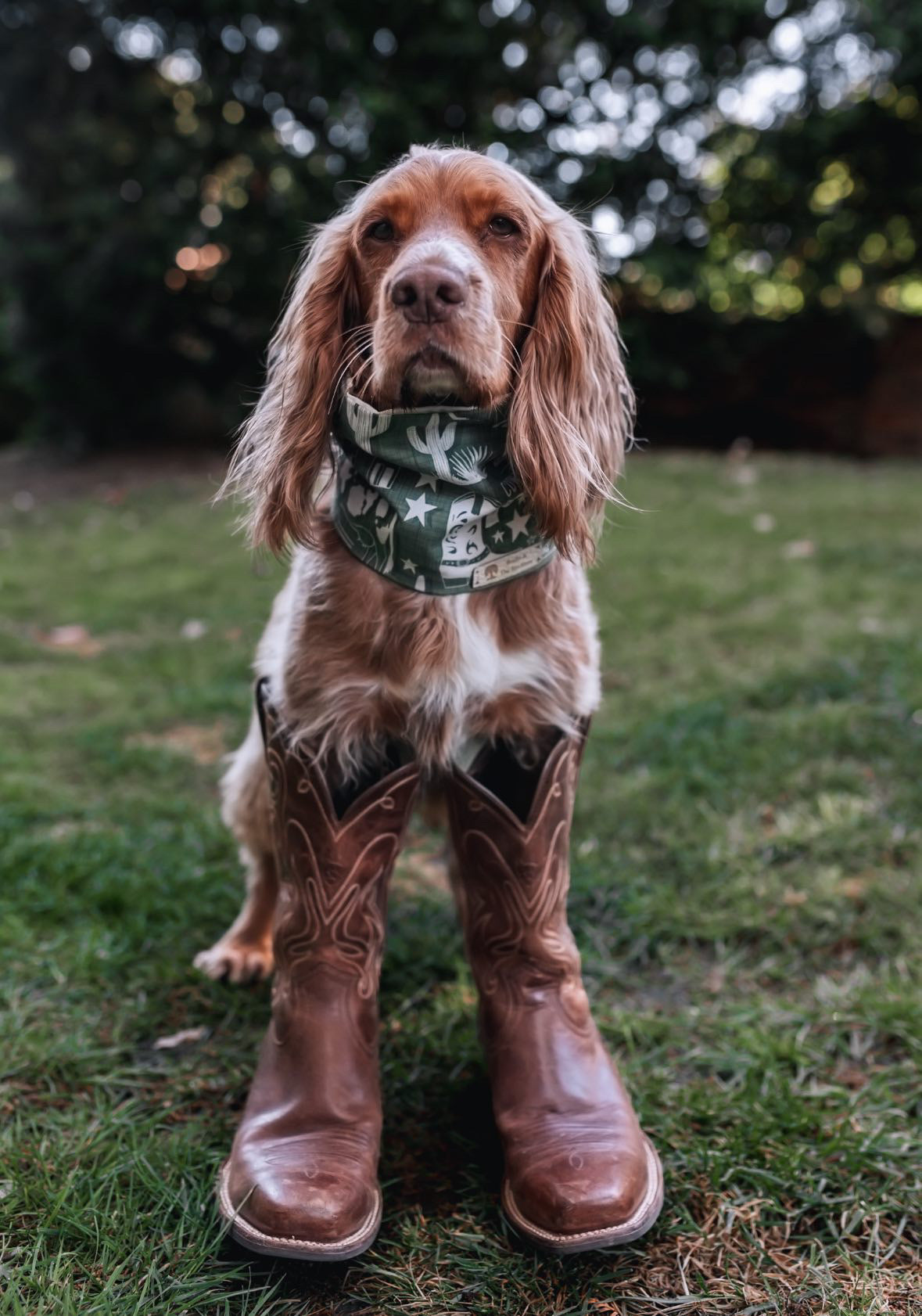 Bodhi & The Birchtree Wild West Adventure Summer Cooling Snood - Bodhi & The Birchtree