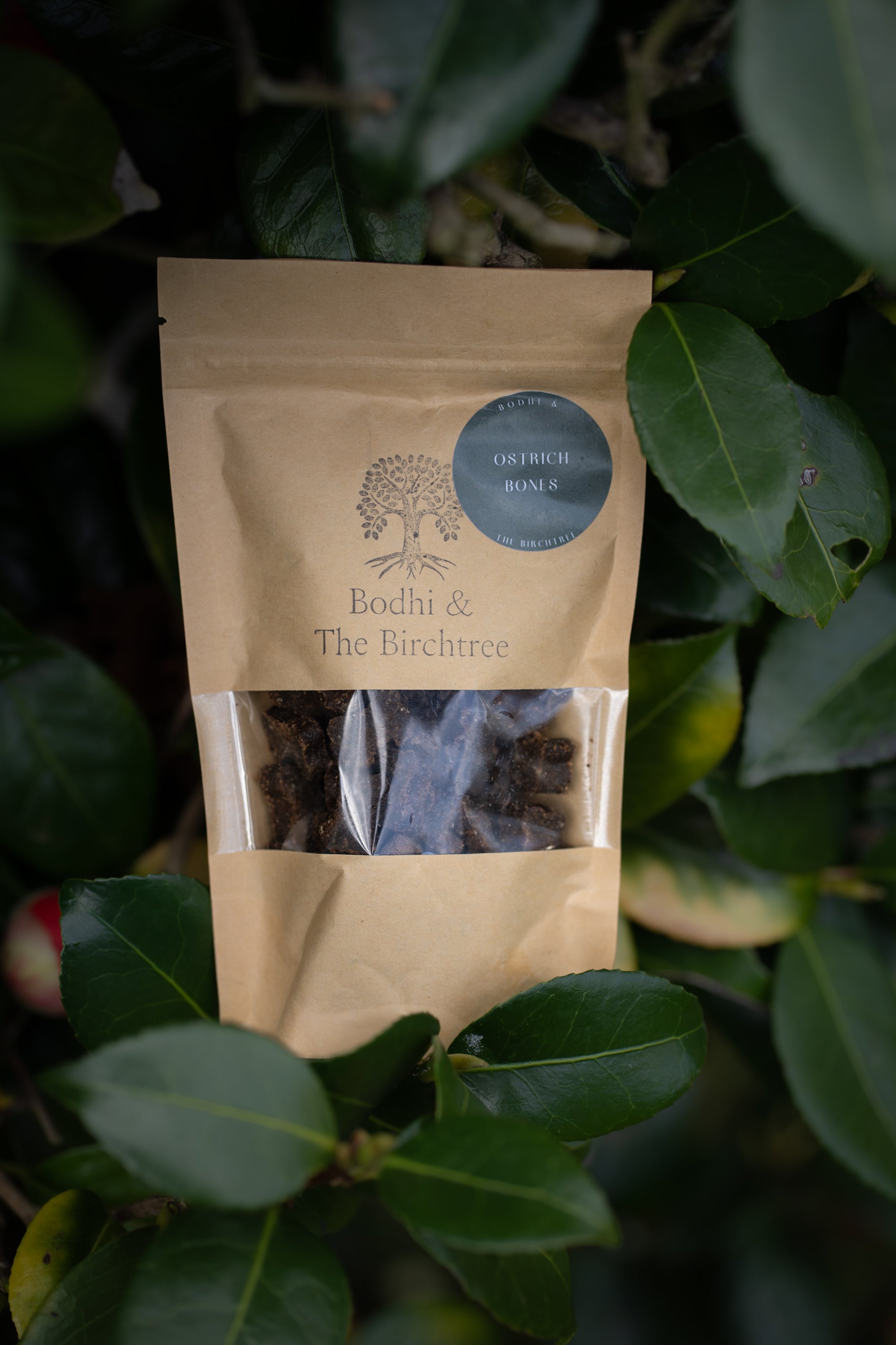 Bodhi & The Birchtree Ostrich Bones 160g - Bodhi & The Birchtree