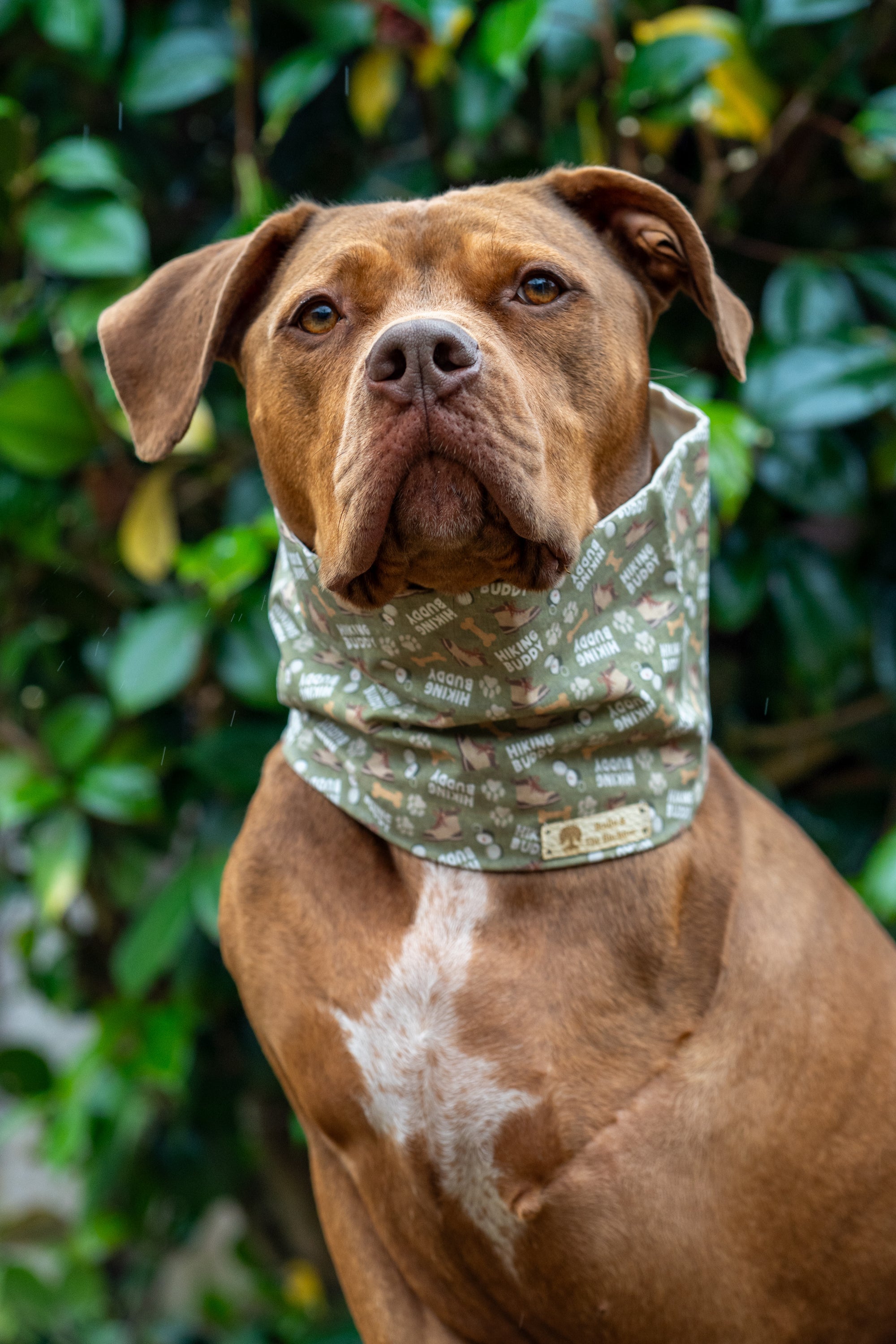 Bodhi & The Birchtree Hiking Buddies Summer Cooling Snood - Bodhi & The Birchtree