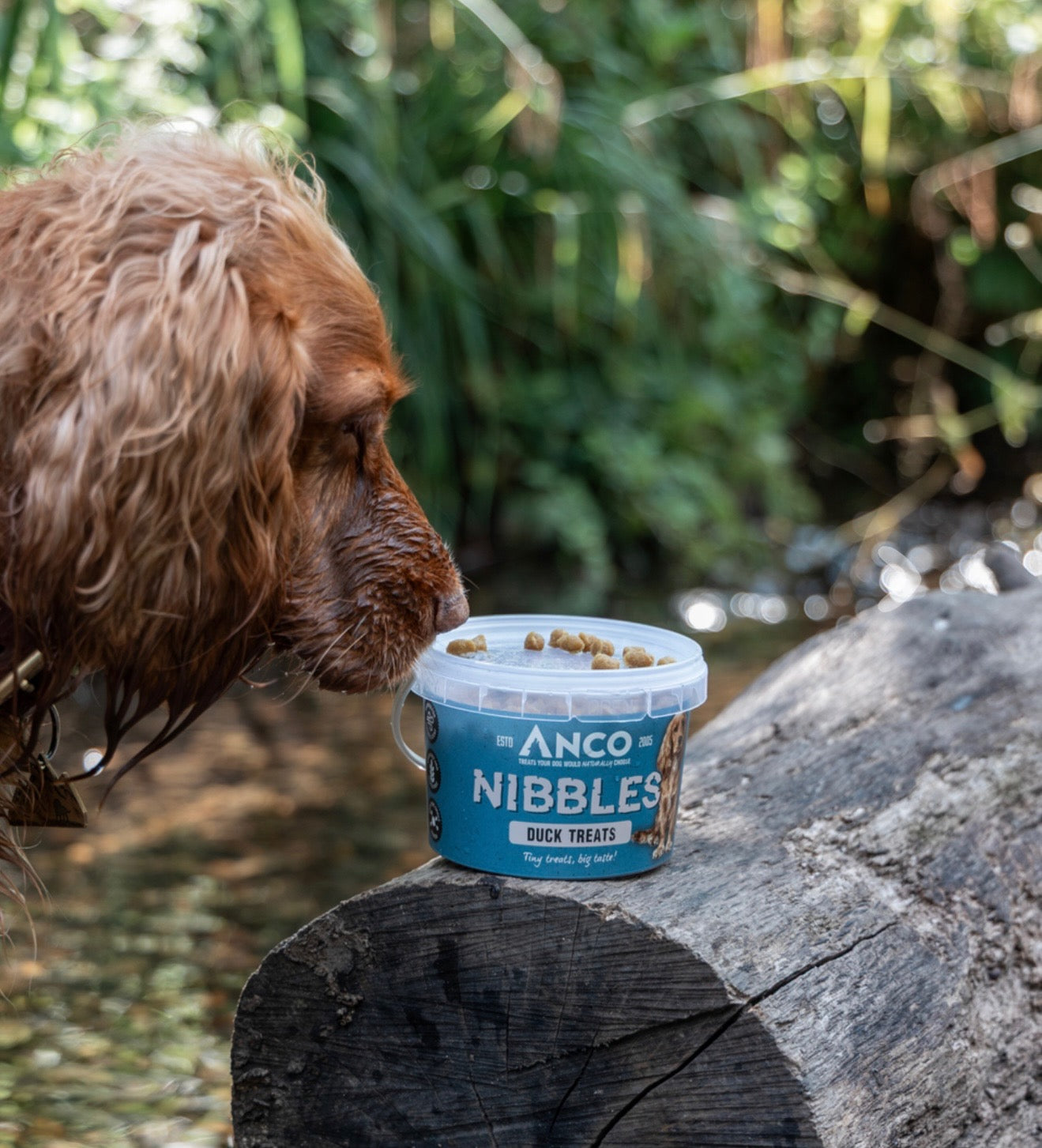 Anco Nibbles Duck Treats 300g - Bodhi & The Birchtree