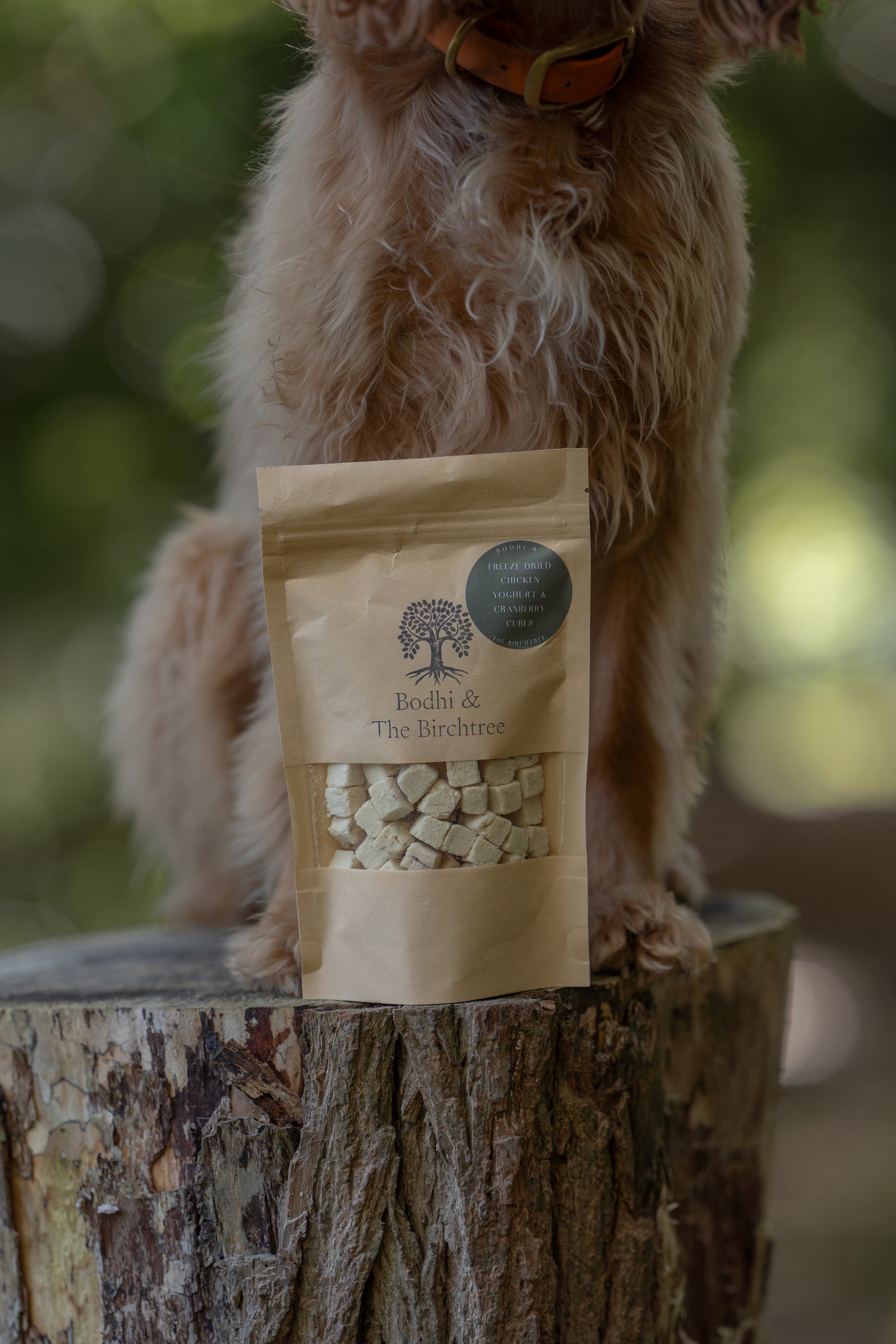 Bodhi & The Birchtree Freeze Dried Chicken, Yoghurt & Cranberry Cubes 30G - Bodhi & The Birchtree