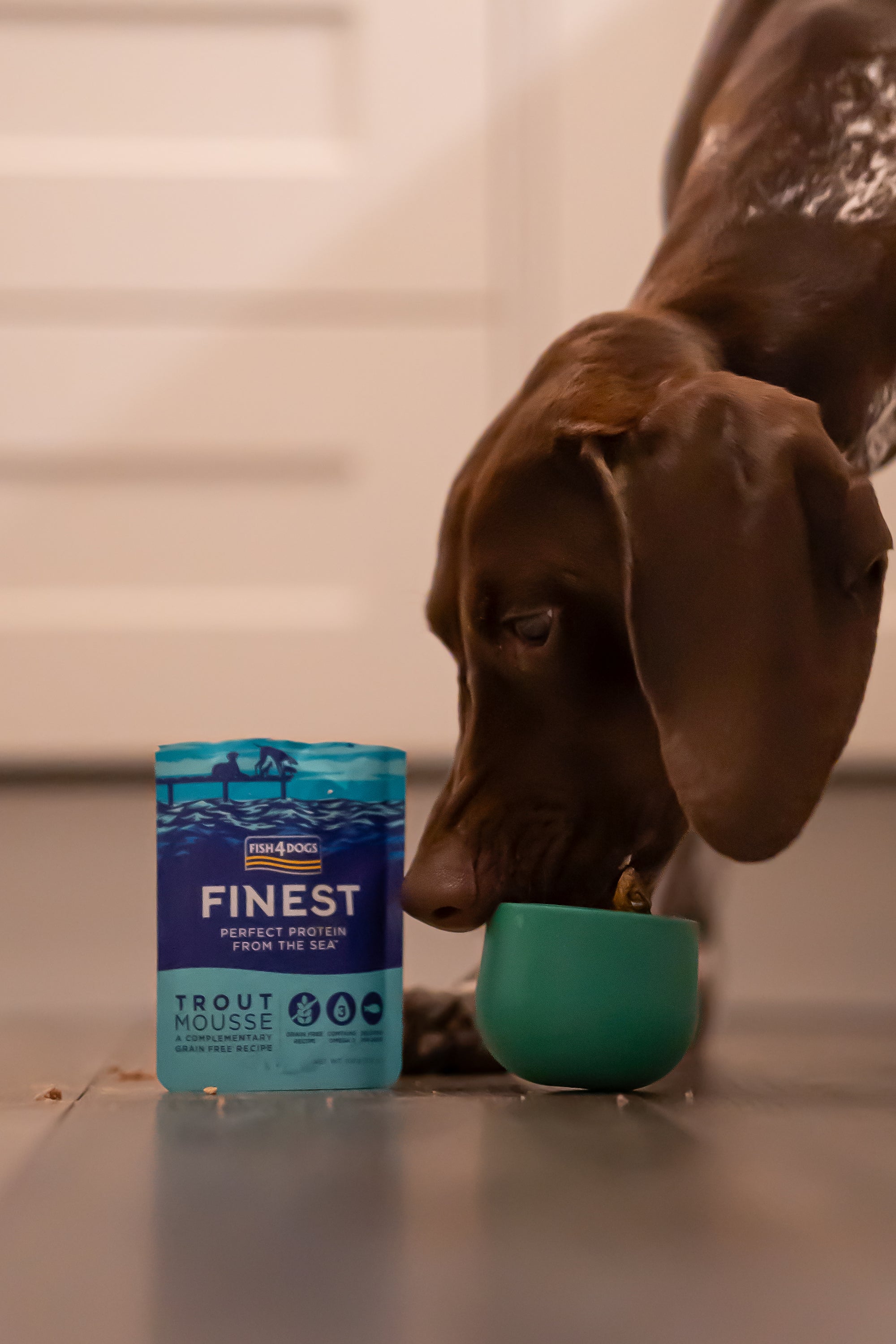 Fish4Dogs Finest Trout Mousse 100g - Bodhi & The Birchtree